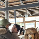 새별농장 이미지