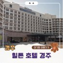 힐튼호텔 경주" 수영장 조식 디럭스 패밀리 1박 후기 유아용품 대여 _경주 보문단지 가족여행 수유실