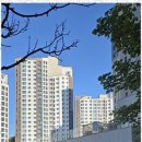 건우공인중개사사무소 이미지