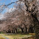 덕치초등학교 이미지