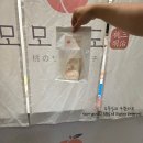 모모스토어 | 부산 서면 롯데백화점 모모산도 팝업 후기｜복숭아산도 가격·기간