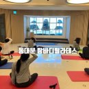 (주)웰니스피트 이미지