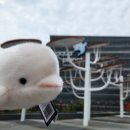 아쿠아플라넷 여수 | 💙 여수 아쿠아플라넷 데이트 후기 (입장권 꿀팁 포함)