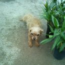 남동화원 이미지