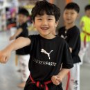용인대 효태권도장 이미지