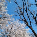 부천시 견인차량보관소 이미지