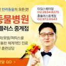 레스펫동물병원 이미지