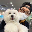 개버드 스쿨 이미지