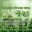 오늘은봄