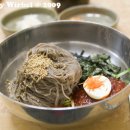 천서리막국수 Daum카페