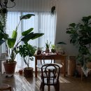 스테이 르브아 이미지