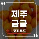 제주아이푸드 | 상큼함이 톡톡 터지는 코지푸드 제주금귤 꼼꼼한 언박싱 후기