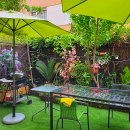 올리브민박 이미지