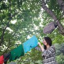 작은쉼터야영장 이미지