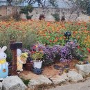 씨앗등펜션 이미지