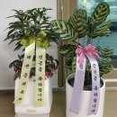 빛나리농원