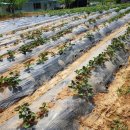 동구농장 이미지