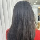헤어윌