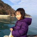 추도명진민박 이미지