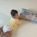 엔젤소프트 | 팸퍼스 엔젤브리즈 소프트 팬티 사용후기, 대만족 흡수력 테스트