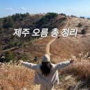 서호동-62 | [제주] 내 발로 직접 가본 오름 10개 비교 분석 후기 | 추천 비추천 내 최애 오름은?