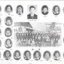 삼성초교 이미지