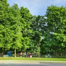 고주망탱이 이미지