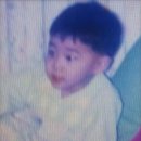 쁘띠모아 이미지