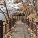 천년의 숲 화장실 이미지