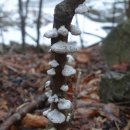 이일연구소 이미지