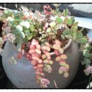 동부여성사우나 이미지