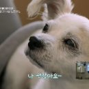 하트펫동물병원 이미지