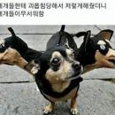 같이