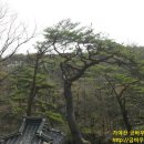 금바우골 이미지