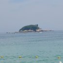 켄싱턴해변 티스토리