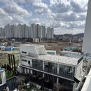 골드헤겔 이미지