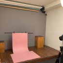 대구 강아지 셀프 인생네컷 사진촬영 포토이즘 스튜디오 펫토이즘 내돈내산 솔직리뷰