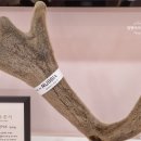 맘앤키즈한의원 네이버블로그