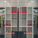 고구마 휘트니스 이미지