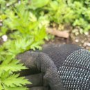 부목농장 이미지