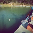 안성슈퍼 이미지