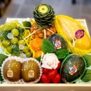 망고파인 이미지