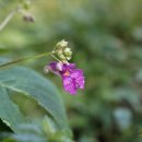 운문골마실길 이미지