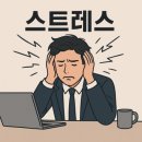 아이짐 경희대 태권스쿨 | [세종시/새롬동/다정동/한솔동 태권도] 성인 태권도에 관해서