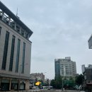 천원세상 | 우당탕탕 동대문 일요시장 방문 일지, 그리고 천원 옷 후기