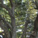 남해-299 이미지