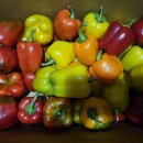 명문농장 이미지