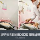 모두올한의원 | 봄맞이 다이어트 명동 한의원 체험 후기 다이어트 한약 포함