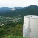 호수와 소나무 이미지