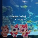 01-36 동구 | 대구 최초 위시캣 콜라보 아기랑 아이랑 함께 가볼만한곳 대구아쿠아리움